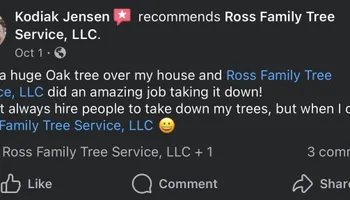 Tree Removal for Ross Family Tree Service LLC  in Hohenwald, TN