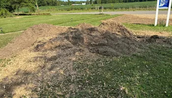 Stump Removal for Conrad's Stump Removal in Columbus, IN
