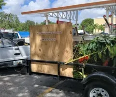 Tree Removal for ASAP Tree Service in Sebastian, FL