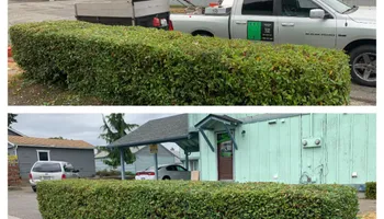 Patio Design & Construction for Hall of Fame Landscaping in Bremerton, WA