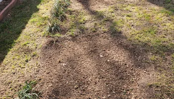 Stump Grinding for Anchor & Grind Stump in Chesapeake, VA