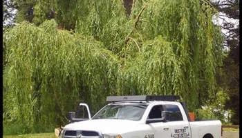 Tree Removal for Ekstedt Tree Services in Troy, MT