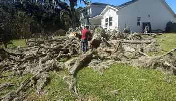Tree Removal for Hawkins Tree Service & Land Management in Richmond Hill, GA