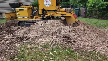 Residential Tree Services for TH Property Service, LLC in Manlius, NY