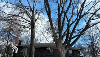 Tree Removal for Cross Family Tree Service in Kearney, MO