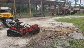 Tree Removal for Regal Tree Service and Stump Grinding in Wauchula, FL