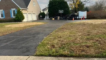 Tree Removal for Tree ReLeaf in Manalapan, NJ