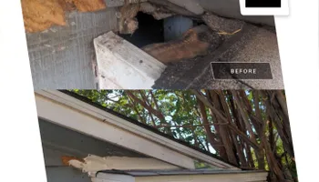 Residential Wildlife Control for Topper's Wildlife Removal in Garland, TX