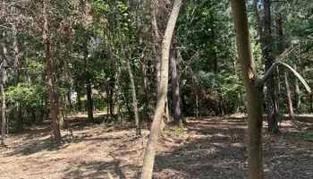 Land Clearing for Miller Farms Hay & Land Management in Knoxville, TN
