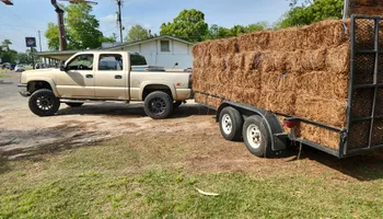 Lawn maintenance for Down & Dirty Lawn Svc  in Tallahassee, FL