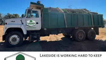 Tree Removal for Lakeside Tree Experts LLC in Hartwell, GA