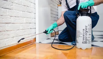 Residential Pest Control for All Pro Pest Control in Banner, KY