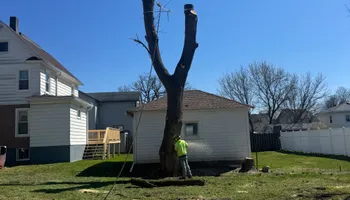 Tree Removal for Licensed to Cut Tree Service in Athens, PA