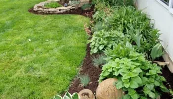 Tree Removal for All Tree Property Services in Charlotte, NC