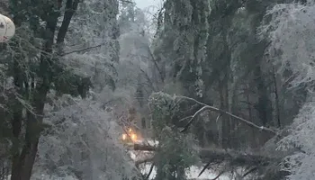 Land Clearing for Mud Creek Vegetation Management in Russellville, AL
