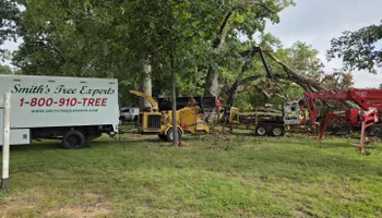 Tree Removal for Smith Tree Experts in Palmyra, VA