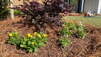 Mowing for Grasshopper's Lawn and Landscape  in Fairhope, AL