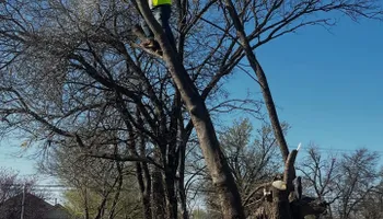 Commercial Maintenance/Installs for Urban Lawn & Landscape in Oklahoma City, OK