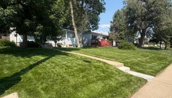 Mowing, Edging & Trimming for Denver Bros Lawn Control in Denver, CO