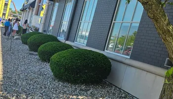 Mowing for Reliable Property Maintenance in Highland, IN