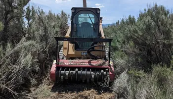 Tree Removal for Bailey's Cutting LLC in Bend, Oregon