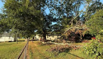 Land Clearing for Mud Creek Vegetation Management in Russellville, AL