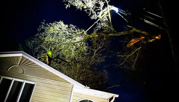 Tree Removal for Down To Earth Tree Service in Red Wing,  Minnesota