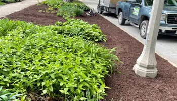 Landscape Design for MDR Landscaping in Urbana, IL