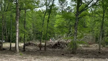 Land Clearing for Page Outdoor Services in Wrightsville, GA