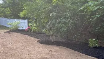 Tree Work for Baboosic Tree & Landscape in Merrimack, NH