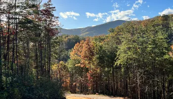 Land Clearing for Dutch Mountain Excavating in Sevierville, TN