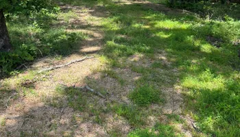 Land Clearing for D&J Land Works in Hurricane Mills, TN