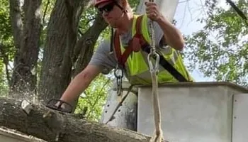 Tree Removal for Village Tree Service in Whitestown, IN