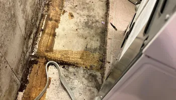 Water Mitigation for No Fear Restoration LLC in Port Angeles, WA