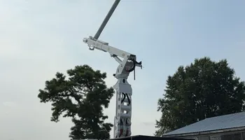 Tree Removal for Melnyk’s Tree Service in Salem County, NJ