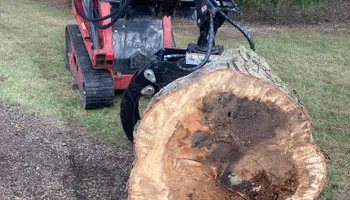 Tree Removal for Summit Tree Care LLC in Fort Wayne, IN
