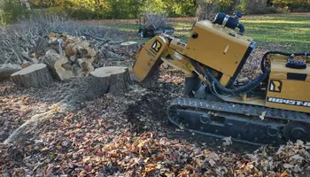 Residential Tree Services for TH Property Service, LLC in Kirkville, NY