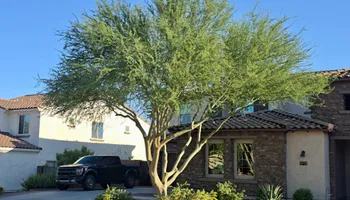 Lawn Maintenance for Grand Canyon State Landscape Inc. in Surprise, AZ