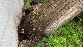 Tree Removal for Allstate Tree Service and Crane in Spring Lake Park, MN