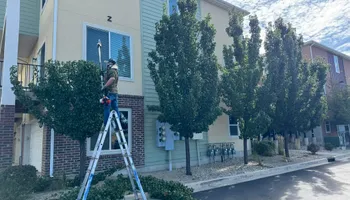 Mowing for L&S Landscaping in Layton, UT