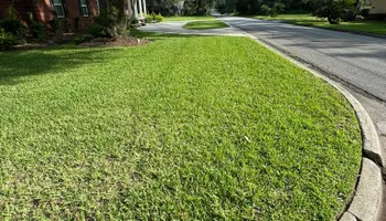 Mowing for Young's Lawn Services LLC in Ocala, FL