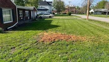 Tree Removal for Baker Professional Services LLC in Shelbina, MO