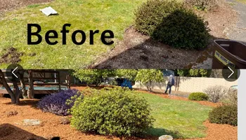Tree Removal for T&S Tree Care LLC in Portland, OR