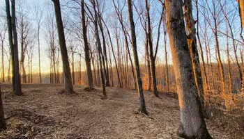 Land Clearing & Demolition for Green Land Management in Mount Pleasant, TN