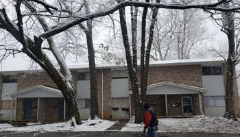 Tree Removal for Rush Tree Specialist in Knoxville, TN