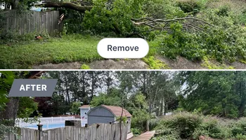Tree Removal for Licensed to Cut Tree Service in Athens, PA