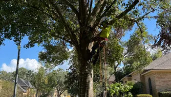 Hardscaping for The Outdoor Buddies in Houston, TX