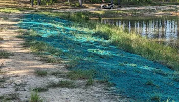 Hydroseeding for Holland Hydroseeding LLC in Columbia, MS