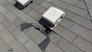 Tree Removal for Z’s Trees LLC in Grey Forest, TX