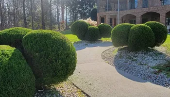 Lawn Maintenance for Great Lakes Lawn & Landscape in knoxville, TN
